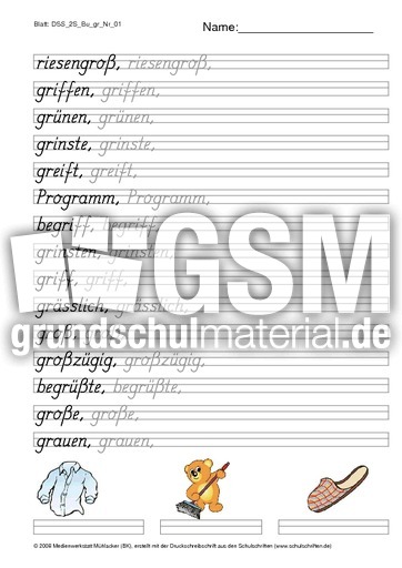 DSS_2S_Bu_gr_Nr_01.pdf